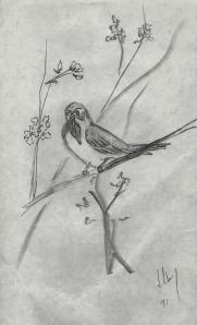 Chinois_1991