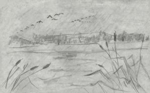 Migration_1991