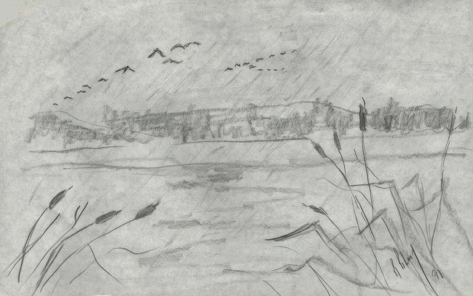 Migration_1991