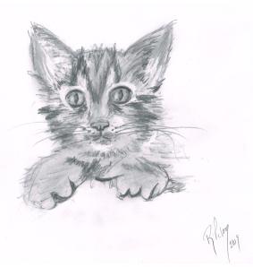 chat