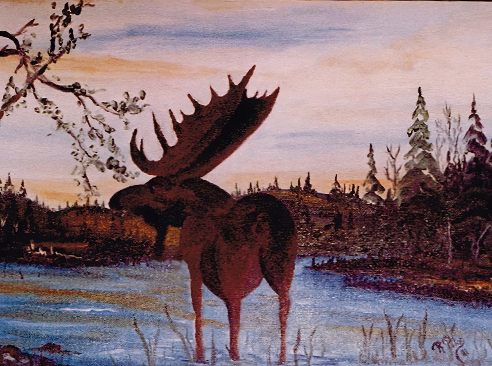 J'ai du panache 1981